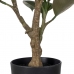 Plante décorative Polyéthylène Fer PEVA Chêne 76 cm