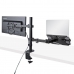 Monitortartó Állvány Startech A2-LAPTOP-DESK-MOUNT Fekete 34