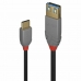 Adaptér USB C na DisplayPort LINDY 36895 150 cm Černý