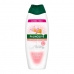 Sprchový gél Palmolive Natural Balance Mandľové mlieko 600 ml