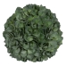 Decoratieve plant Groen PVC 19 x 19 cm