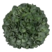 Dekorationspflanze grün PVC 19 x 19 cm