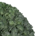 Decoratieve plant Groen PVC 19 x 19 cm