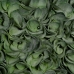Διακοσμητικό Φυτό Πράσινο PVC 19 x 19 cm