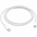 Cable USB-C a Lightning Apple MM0A3ZM/A 1 m Blanco