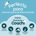 Apito Coachi