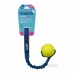 Training toy Coachi TUGGI BALL Blue