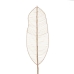 Ветка Бамбук ротанг Лист 30 x 2 x 200 cm