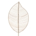 Branch Bamboo Rattan Sheet 43 x 2 x 200 cm