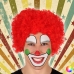 Pruik Clown 117913