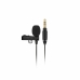 Myggmikrofon Rode Microphones LAVALIER GO