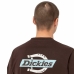 Kortærmet T-shirt til Mænd Dickies Ss Ruston Brun