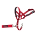 Trainingshalsbanden voor honden Company of Animals Halti Muilkorf (31-40 cm)