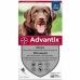 Pipeta para cães Advantix 25-40 Kg