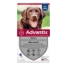 Parazitaellenes Advantix Pipetták 25-40 Kg 4 ml 4 egység