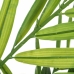 Planta Decorativa Verde PVC Bambu 200 cm