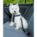 Harnais pour Chien Trixie Noir S