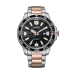 Miesten rannekellot Citizen AW1524-84E