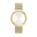 Horloge Dames Calvin Klein 25200150