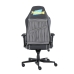 Gaming Chair Newskill PRO Royale