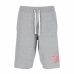 Sport Shorts Russell Athletic Amr A30601 Grå