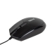 Souris iggual IGG318874