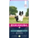 Foder Eukanuba Small & Medium Voksen Lam Ris 12 kg