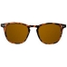 Unisex Saulesbrilles Northweek Wall Tortoise Brūns Tortoise (Ø 45 mm)