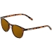 Unisex Saulesbrilles Northweek Wall Tortoise Brūns Tortoise (Ø 45 mm)