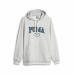 Herenhoodie Puma Squad Fl Lichtgrijs