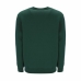 Men’s Sweatshirt without Hood Russell Athletic Iconic Green