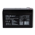 Batteria per Gruppo di Continuità UPS Qoltec 53030 7 Ah 12 V