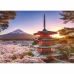 Dėlionė Ravensburger 17090 Mount Fuji Cherry Blossom View 1000 Dalys