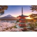Puslespil Ravensburger 17090 Mount Fuji Cherry Blossom View 1000 Dele