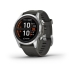 Smartwatch GARMIN 010-02776-01 Grafiet Zilverkleurig 1,2