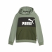 Kindersweater Puma Ess Block Fl Groen