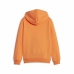 Kindersweater Puma Ess Block Fl Oranje