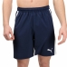 Miesten urheilushortsit TEAMLIGA 931835 Puma 931835 06 Padel