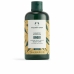 Anti-Schuppen Shampoo The Body Shop Ginger 250 ml