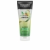 Champú Reparador John Frieda Detox +Repair Detoxificante 250 ml