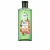 Šampon Herbal 8086486 Lesk Pomelo Mátová 250 ml