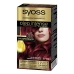 Permanent färg   Syoss Olio Intense Utan ammoniak Nº 5,92 Knallrött