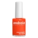 küünelakk Andreia nº 106 (14 ml)