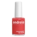 körömlakk Andreia Professional Hypoallergenic Nº 119 (14 ml)