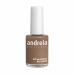 Lak za nokte Andreia Professional Hypoallergenic Nº 79 (14 ml)