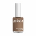 Vernis à ongles Andreia Professional Hypoallergenic Nº 79 (14 ml)