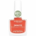 Neglpolering Deborah Formula Pura Nº10 Oransje (8 ml)