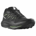 Chaussures de Sport pour Homme Salomon Pulsar Trail Noir