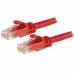 Kabel Sieciowy Sztywny UTP Kategoria 6 Startech N6PATC150CMRD 1,5 m Czerwony