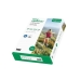 Papier 100 % Recyclado (500 uds) (Refurbished A+)